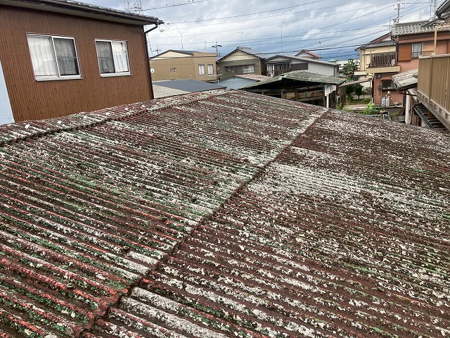 小波スレートの状況確認